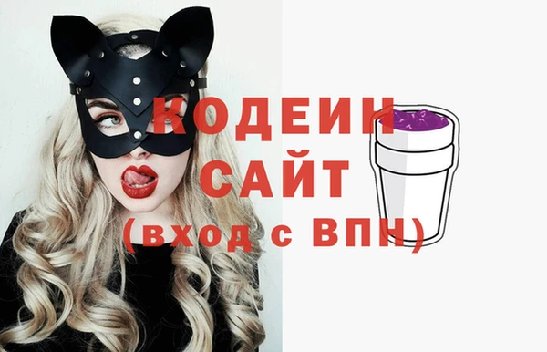 индика Нея