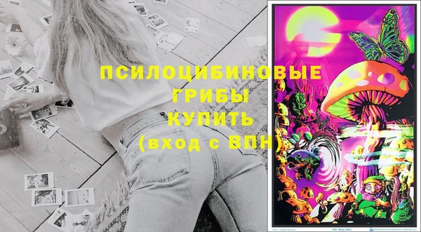 индика Нея