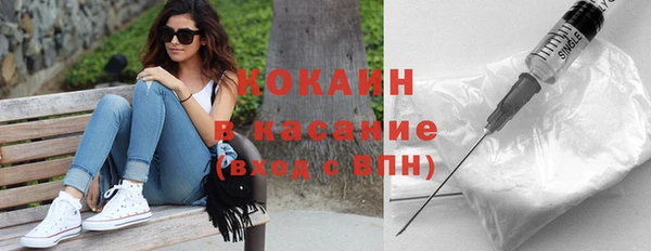 индика Нея