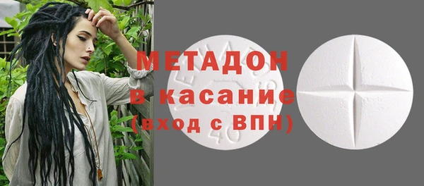 индика Нея