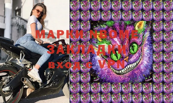 индика Нея