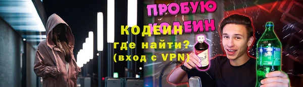 индика Нея