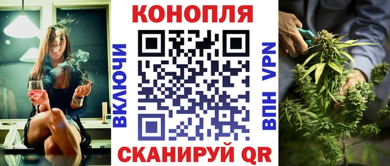 OMG вход  Новоузенск  Бошки Шишки MAZAR  наркотики 